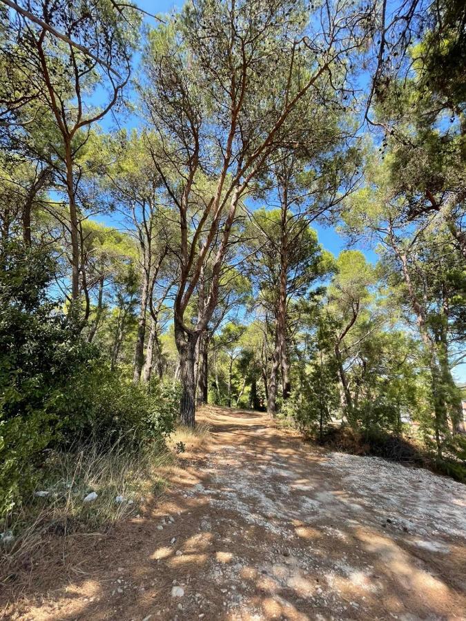 Forest Hill Πούλα Εξωτερικό φωτογραφία